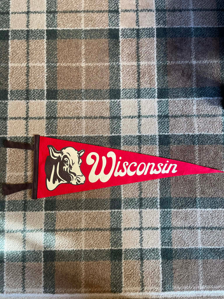 Wisconsin Pennant by Oxford Pennat