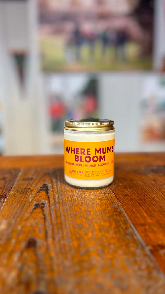Where Mums Bloom Candle: 8 oz Candle