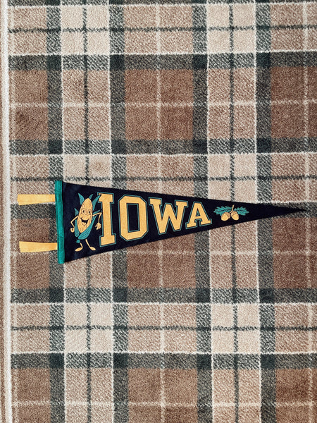 Iowa Oxford Pennant